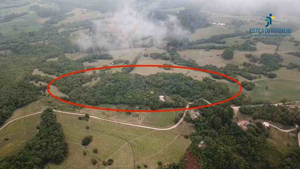 LEILÃO DE UMA FRAÇÃO DE 5,6 HA EM CRISTAL