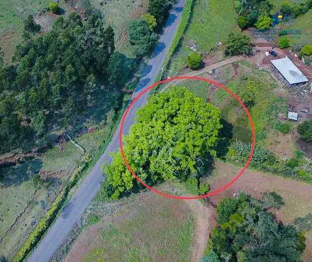 LEILÃO DE UMA ÁREA  COM 606,65 M² EM FORQUETINHA