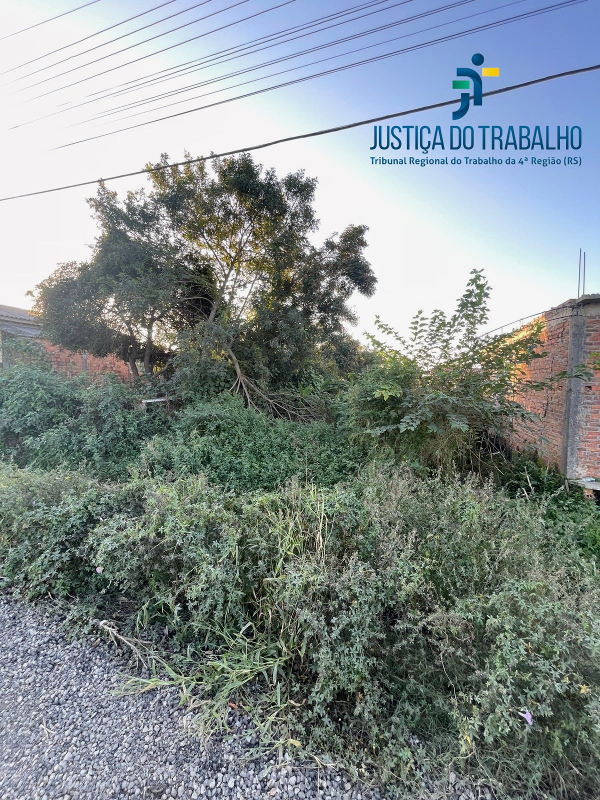 LEILÃO DE UM TERRENO NO CAPÃO DO LEÃO