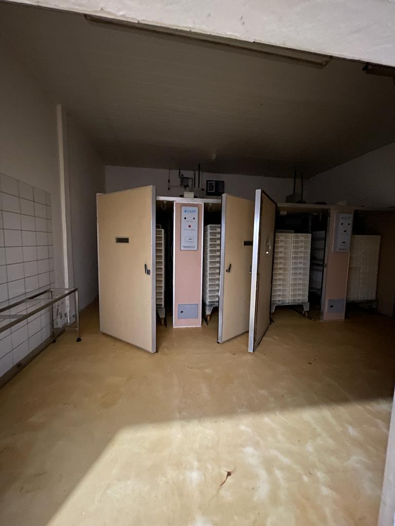 Foto 12