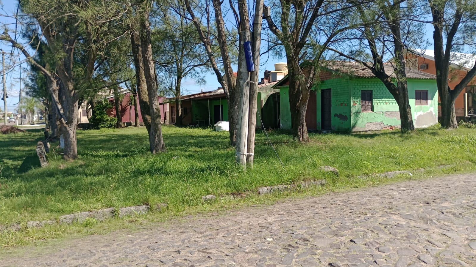 Foto 4