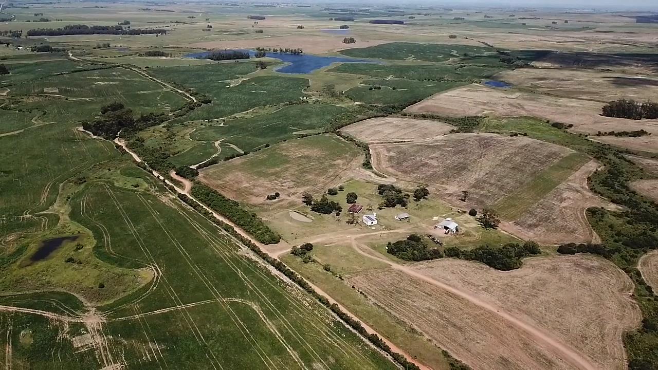 Foto 10