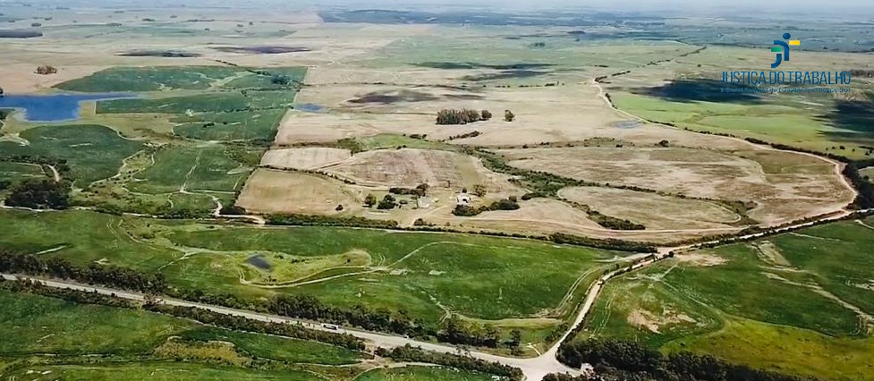 LEILÃO DE UMA FRAÇÃO DE TERRAS COM 26HA EM JAGUARÃO