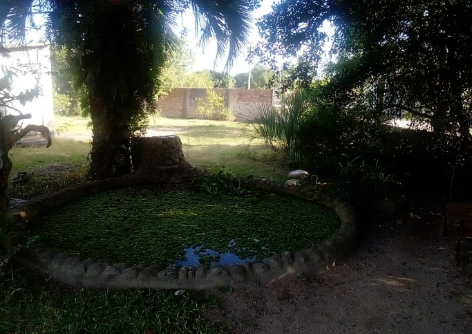 Foto 8