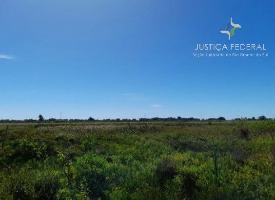 LEILÃO DE UM SÍTIO COM 3000M² LOCALIZADO NA QUINTA EM RIO GRANDE