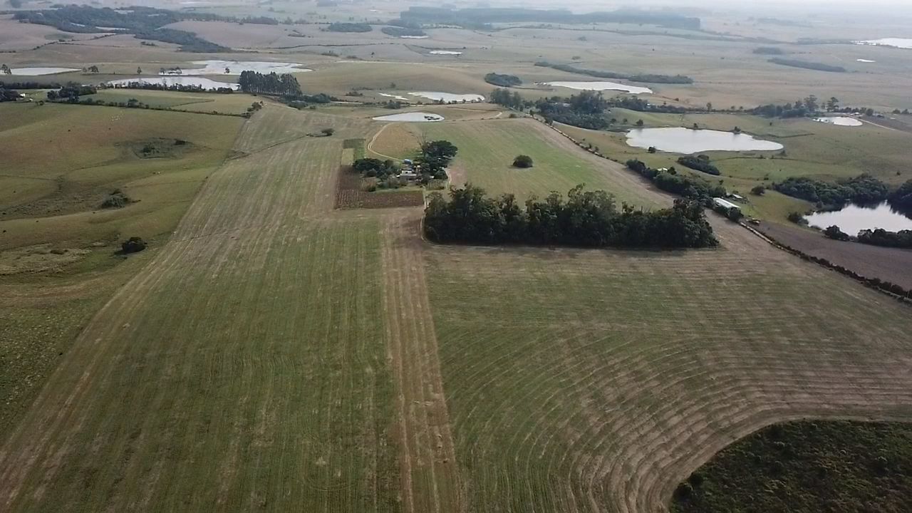 24HA DE TERRAS NA LOCALIDADE DE CARVOEIRA EM SÃO LOURENÇO DO SUL, localizado em São Lourenço Do Sul - RS