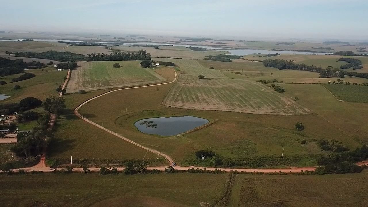 24HA DE TERRAS NA LOCALIDADE DE CARVOEIRA EM SÃO LOURENÇO DO SUL, localizado em São Lourenço Do Sul - RS