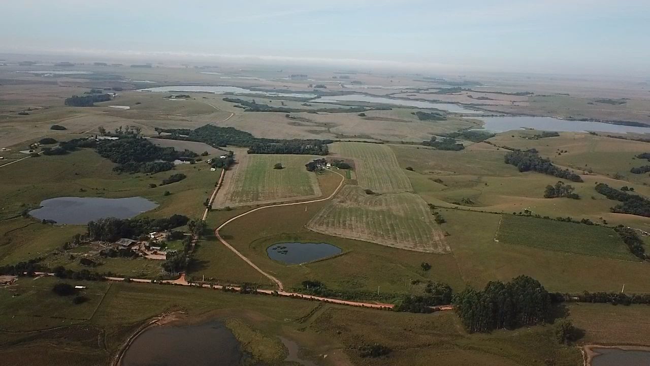 24HA DE TERRAS NA LOCALIDADE DE CARVOEIRA EM SÃO LOURENÇO DO SUL, localizado em São Lourenço Do Sul - RS