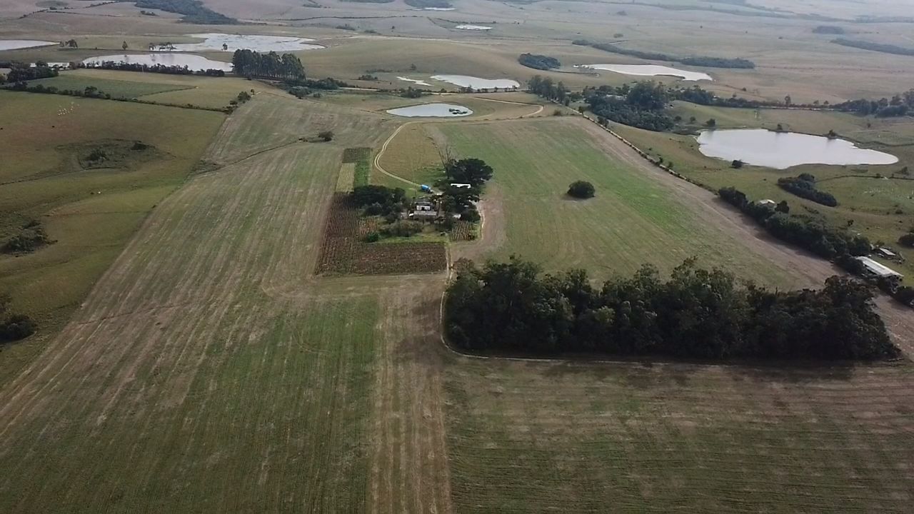 24HA DE TERRAS NA LOCALIDADE DE CARVOEIRA EM SÃO LOURENÇO DO SUL, localizado em São Lourenço Do Sul - RS