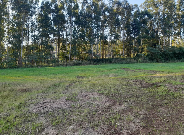 Uma Fração De Terras, Com Área Superficial De 60.112,68m², Sem Benfeitorias, Situada Na Avenida Salvador, Zona Urbana Da Cidade De Tupandi/rs, localizado em Tupandi - RS